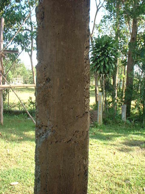 Picture of tukud