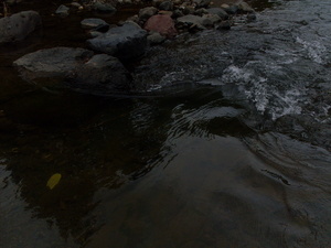 Picture of tuwalen