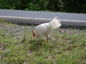Picture of uhis