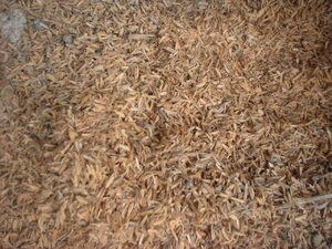 Picture of ukaba2
