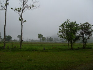 Picture of uran