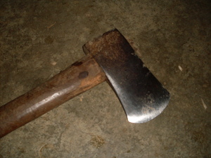 Picture of wasey