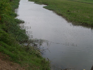 Picture of weyig