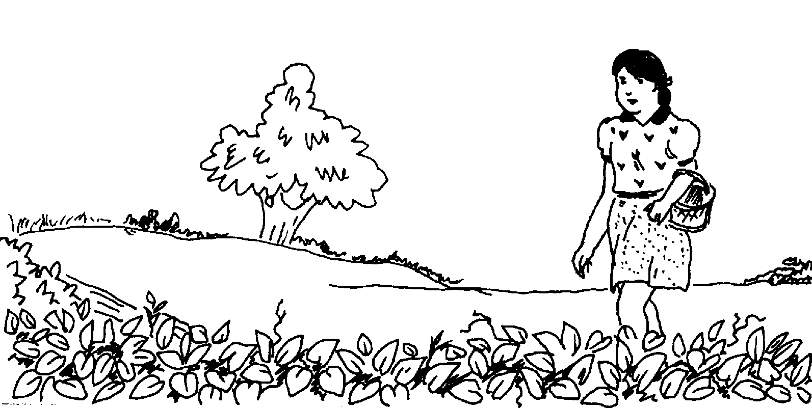 Picture from A7p15.png