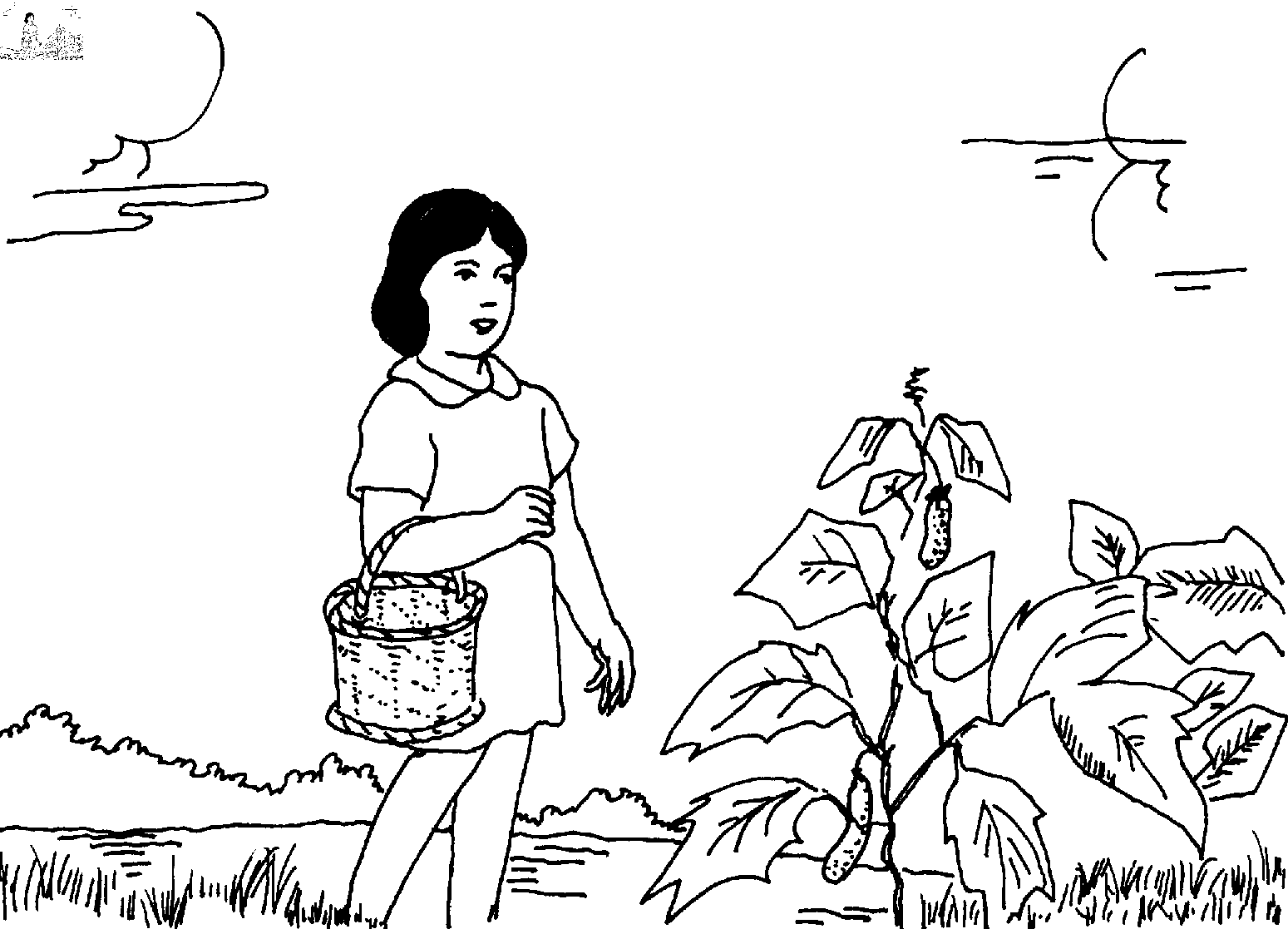 Picture from A7p7.png
