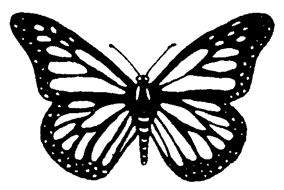 Picture from butterfly.bmp