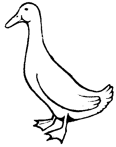 Picture from duck.bmp
