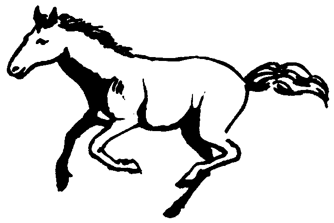 Picture from horse.bmp