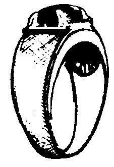 Picture from ring.bmp