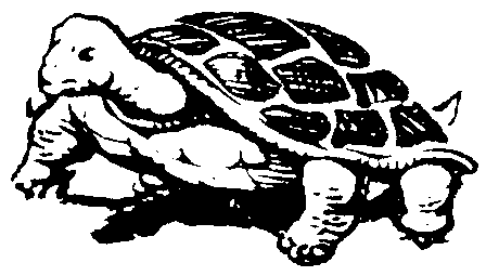 Picture from turtle.bmp